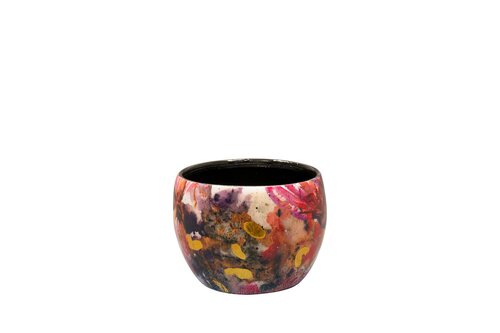 Pot Sweet magnolia D7 H6 - afbeelding 1