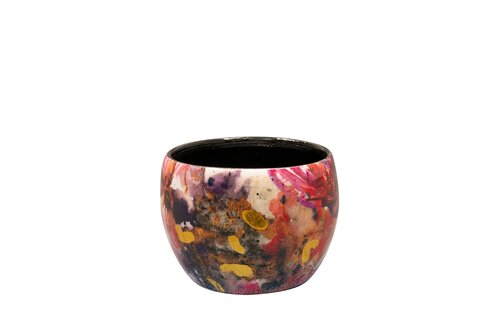 Pot Sweet magnolia D9 H7 - afbeelding 1