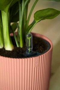 pot vibes fold ro d18cm dlct rze - afbeelding 3