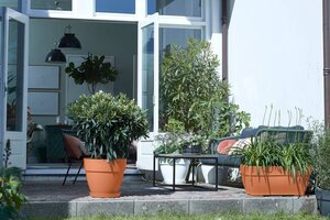 pot vibia campana ro d30 terra - afbeelding 3