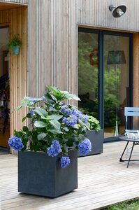 Pot vierkant Basalt - 49,5x49,5x49,5cm Antraciet - afbeelding 3