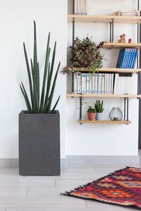 Pot vierkant Basalt Up - 29,5x29,5x49,5cm Antraciet - afbeelding 3