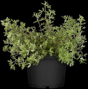 Pot Vulcano blauw D 46 x H 38 cm - afbeelding 6