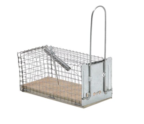 PRO VANGKOOI MUIZEN 1ST