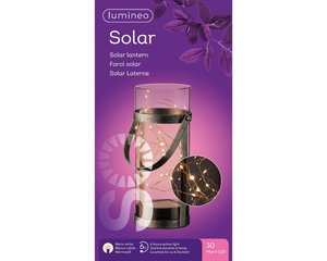 Lumineo Solar lantaarn acryl 30 lamps - Ø 10 cm - afbeelding 3