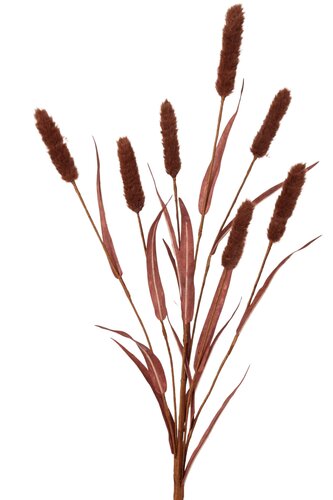 Kunsttak typha met 7 kolven - L95cm Donker koffiebruin