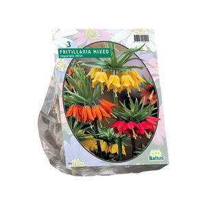 Baltus Fritillaria Imperialis Mixed per 3
