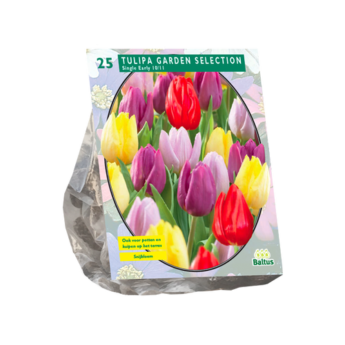 Baltus Tulipa Garden Selection per 25
