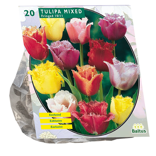 Baltus Tulipa Gefranjerd Mix per 20