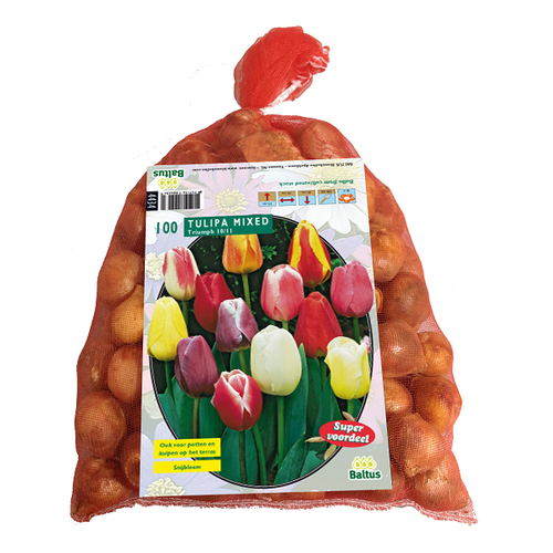 Baltus Tulipa Darwin Mix. in gaasbaal 12/+ per 100
