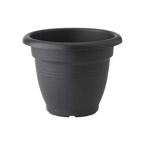 Product name Coppelmans - afbeelding 1