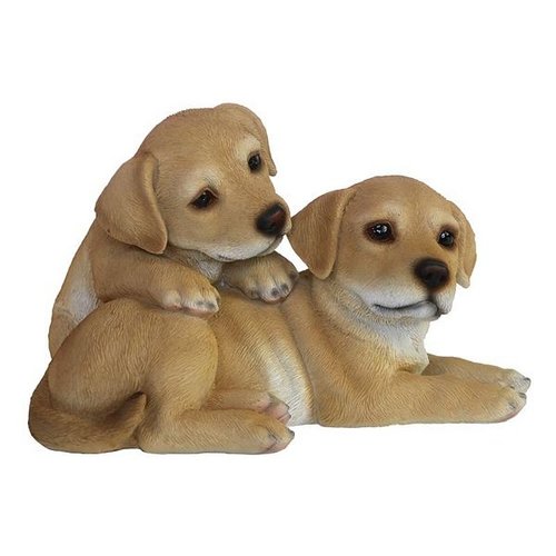 Puppies liggend
