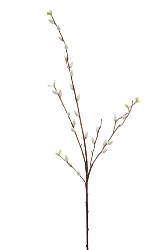 Pussy willow spray white 95cm