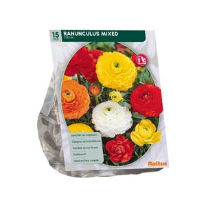 Ranonkel, Mix per 15 - afbeelding 2