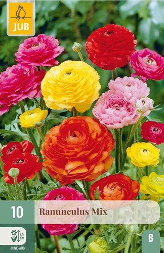 Ranunculus mix 10st