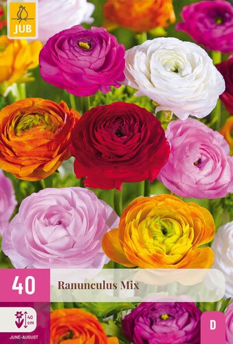 Ranunculus mix 40st