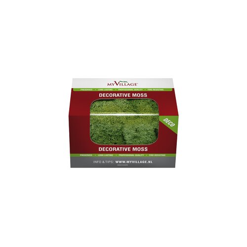 RENDIERMOS GROEN 50G geverfd en gepreserveerd. - afbeelding 2