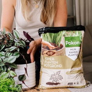 Pokon RHPBio Turfvrij Kamerpl PG10L - afbeelding 4