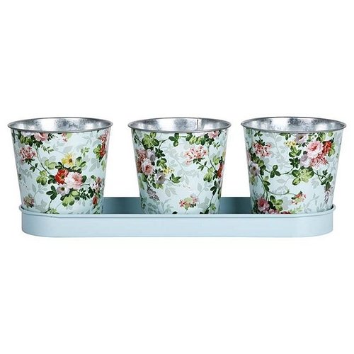 Roosprint set 3 potjes op tray