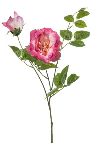 Rose liza spray x3 pink 80cm