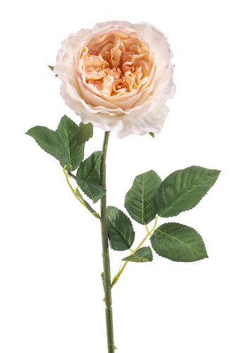 Rose Manon Tak Zijde - 62cm Perzik