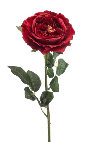 Rose Manon Tak Zijde - 62cm Rood