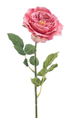 Rose Manon Tak Zijde - 62cm Roze