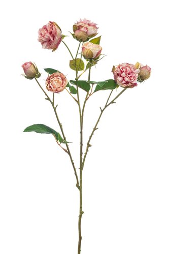 Rose mini spray pink 65cm