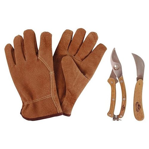 RVS snoei set