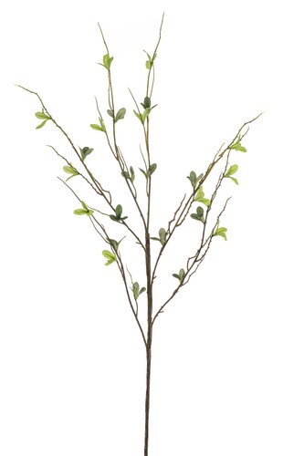 Salix Tak Zijde - 90cm Groen