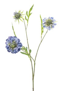 Scabiosa spray x3 blue 62cm