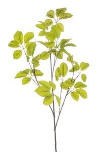 Schefflera spray lt green 90cm