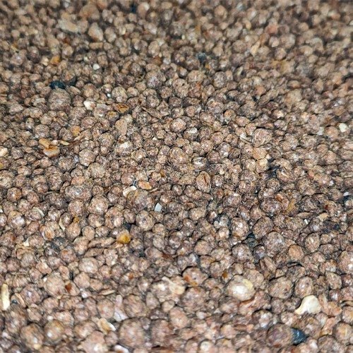 Sedumdak mestkorrels 3,2KG voor daktuin - afbeelding 2