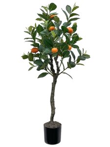 Sinaasappel 90cm