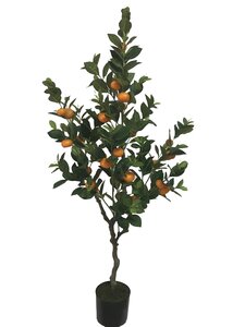 Sinaasappelboom 153cm