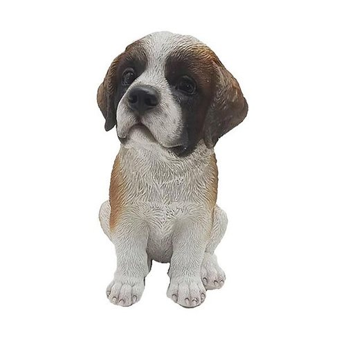 Sint- bernard pup zittend