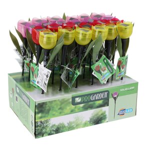 Solarlamp tulp - 4 ass. kleuren - afbeelding 1