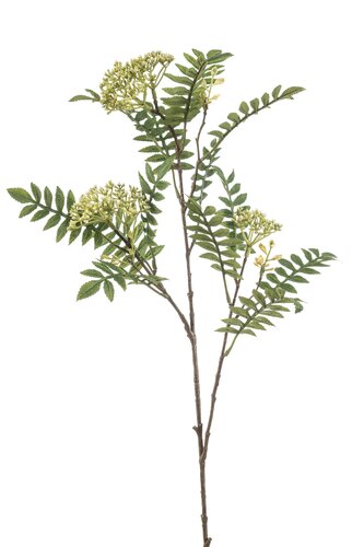 Sorbus Tak Zijde - 80cm Groen x3