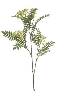 Sorbus Tak Zijde - 80cm Groen x3