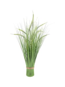 Staand boeket Pennisetum H 60 cm