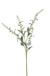 Stachys spray x4 blue 68cm