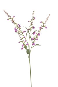 Stachys spray x4 fuchsia 68cm
