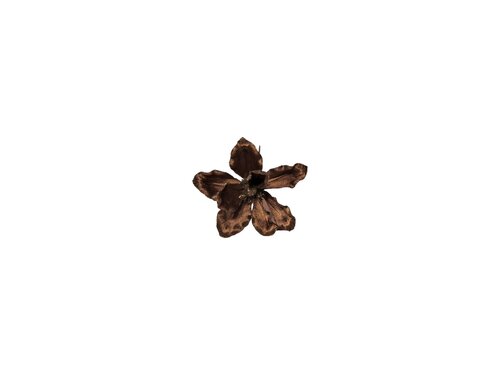 Steker bloem D 22 cm bruin