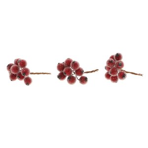 Stem Berrie 30Pcs - L 7 x D 1.3