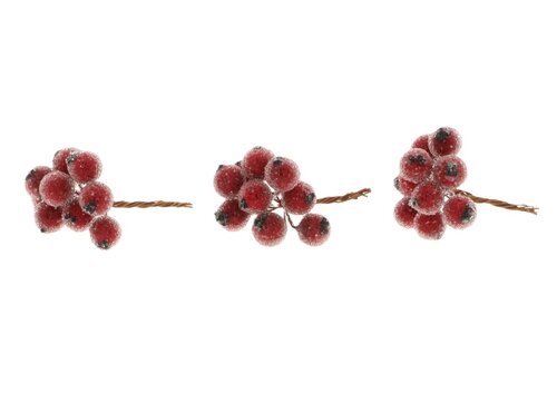 Stem Berrie 30Pcs L7D1.3