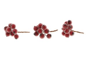 Stem Berrie 30Pcs L7D1.3