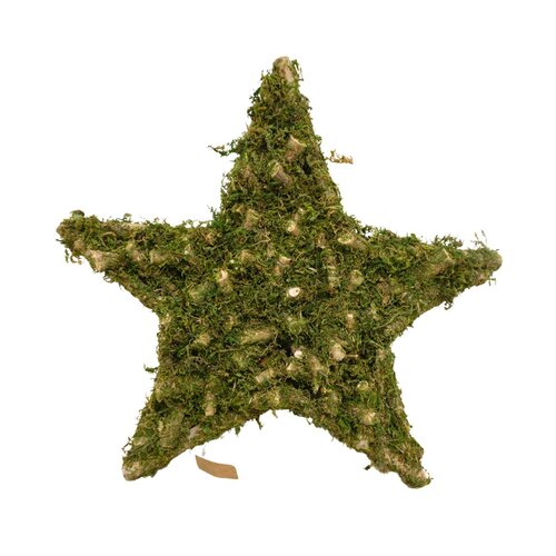 Ster met mos 50 x 50 x 8 cm