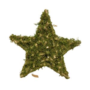 Ster met mos 70 x 70 x 9 cm