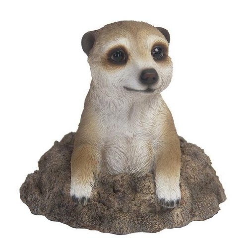 Stokstaartje uit grond