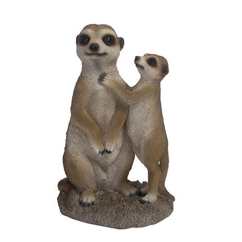 Stokstaartjes